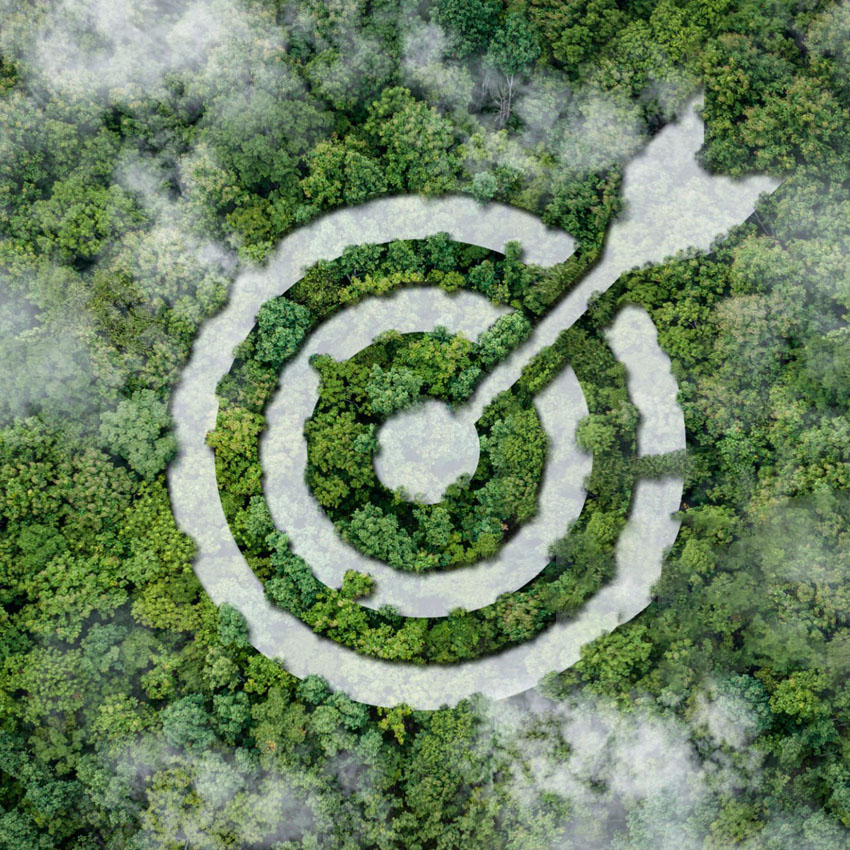 Sustainable Packaging: Paving The Way To A Greener Tomorrow