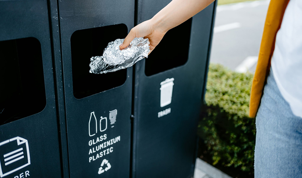 Sustainable Alternatives-2