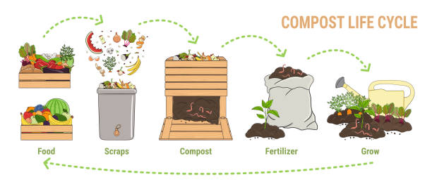 composting cycle process