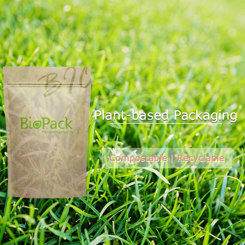 What Are Plant-Based Materials? A Comprehensive Exploration of Sustainable Packaging