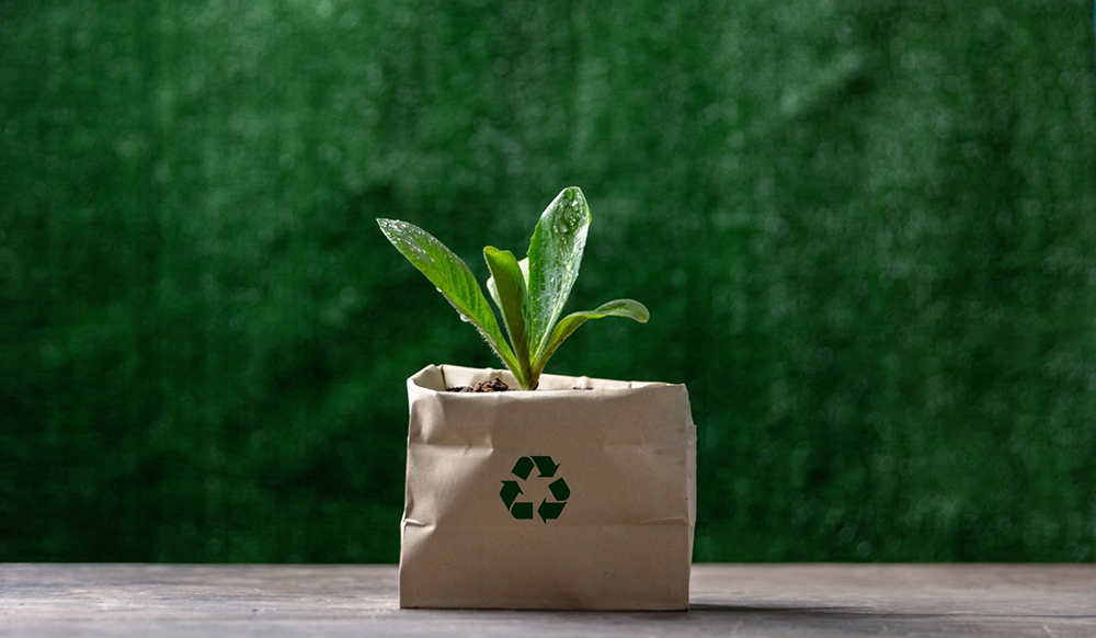 eco-friendly packaging solutions