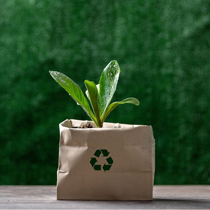 Embracing Sustainability: Exploring Common Materials in Eco-Friendly Packaging