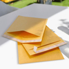Customizable Certified Fully Compostable Paper Padded Honeycomb Mailers