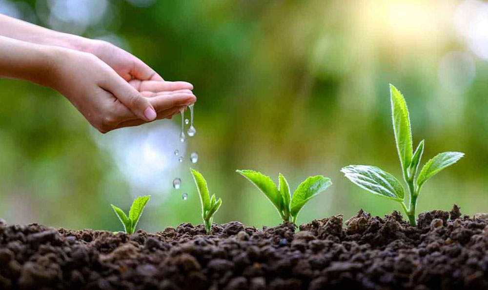 compostable-flexible-film