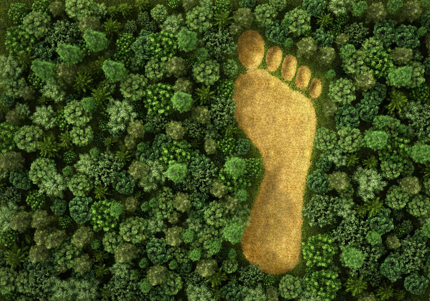 Are Compostable Bags Better For The Environment?