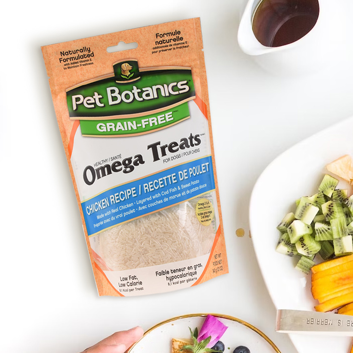 Understanding the Differences between Compostable, Recyclable, and Biodegradable Bags