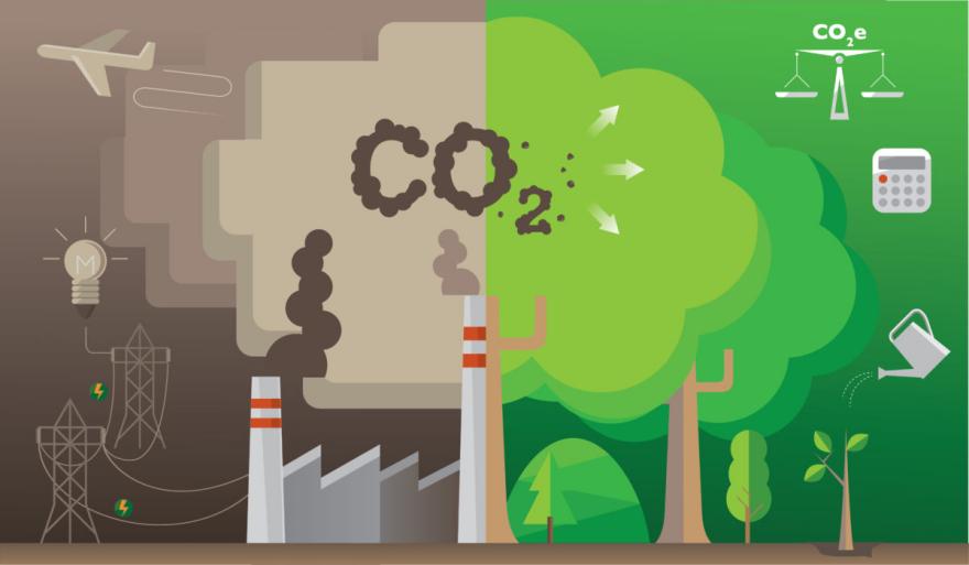 Carbon Neutral: Reducing Packaging’s Carbon Footprint