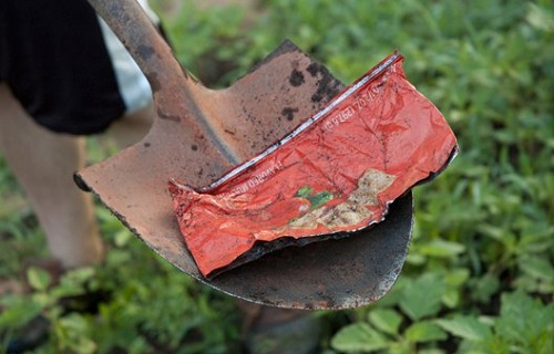 biodegradable chip bags (3