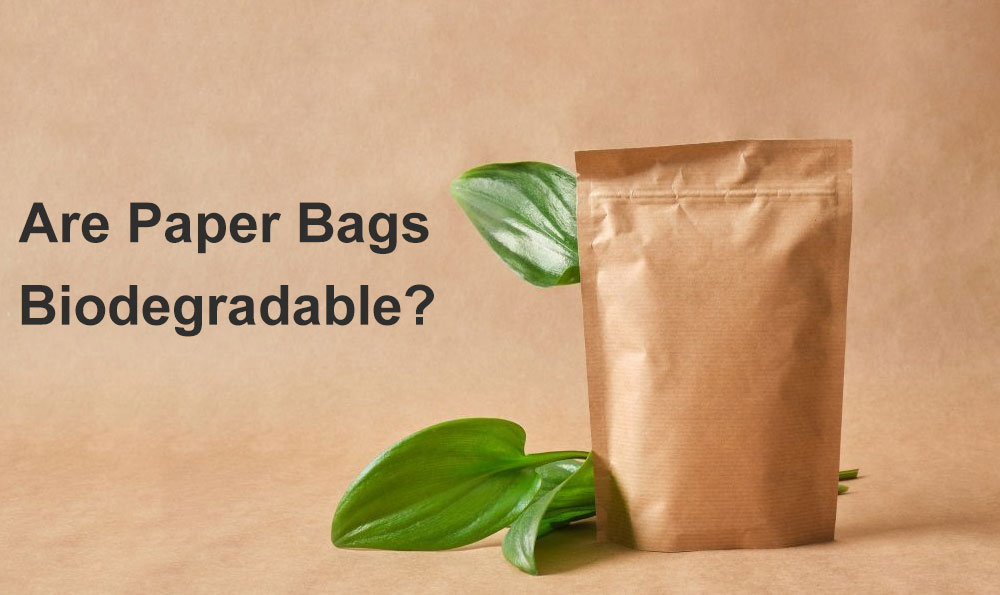 are-paper-bags-biodegradable