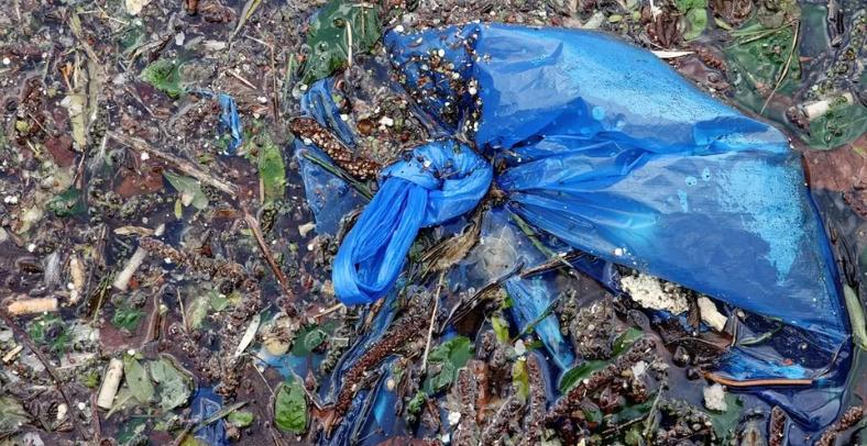 Can biodegradable packaging be composted