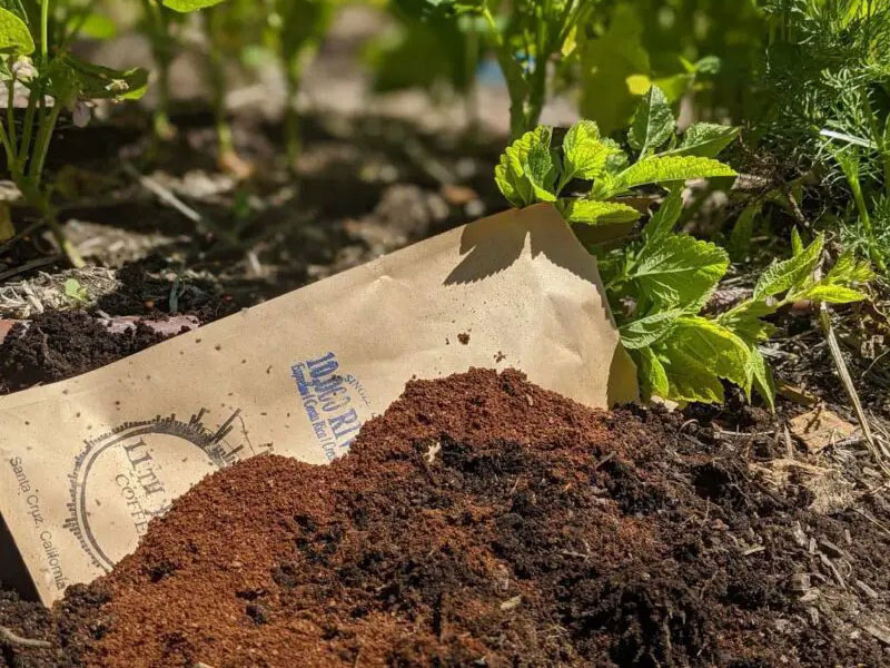 compostable-coffee-bag
