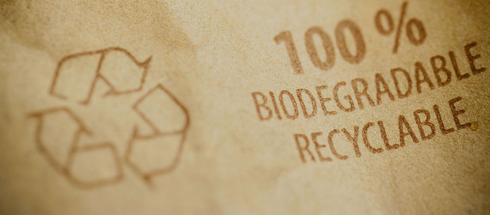 biodegradable-paper