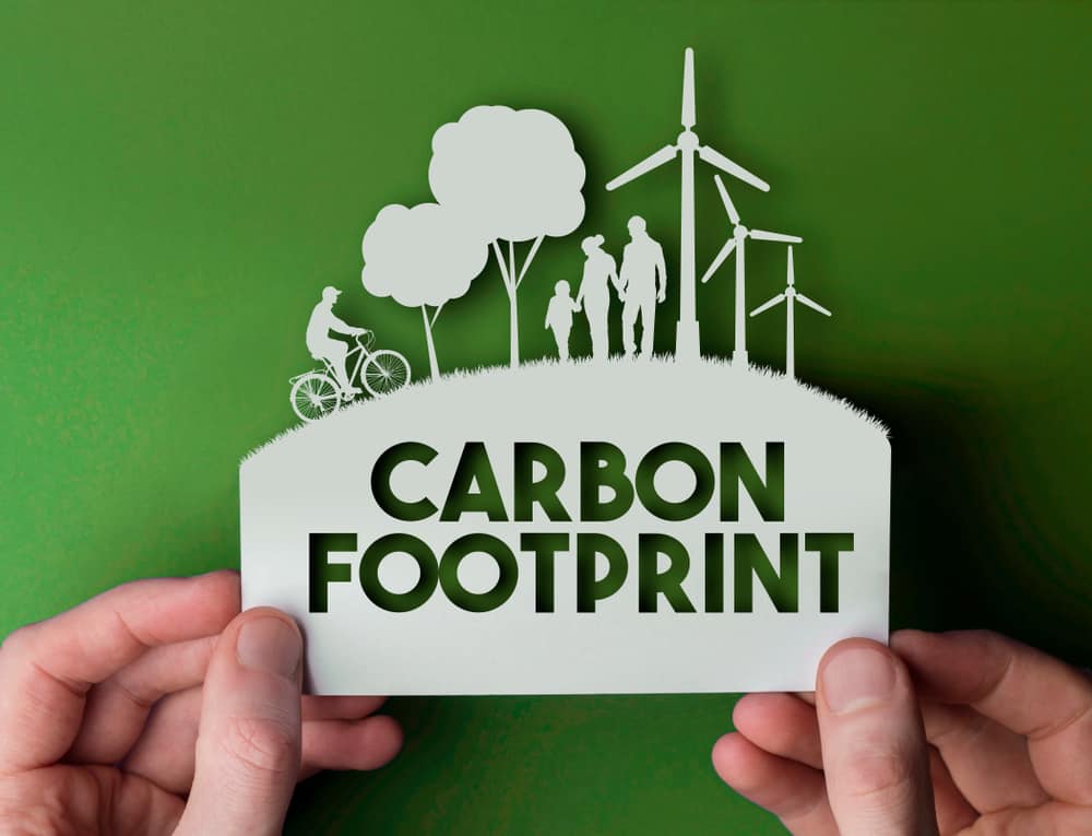 Eco Friendly Packaging to Reduce Carbon Footprints