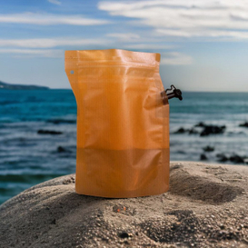 Best Eco Friendly Resealable Stand Up Spouted Coffee Cold Brew Bags with Filter