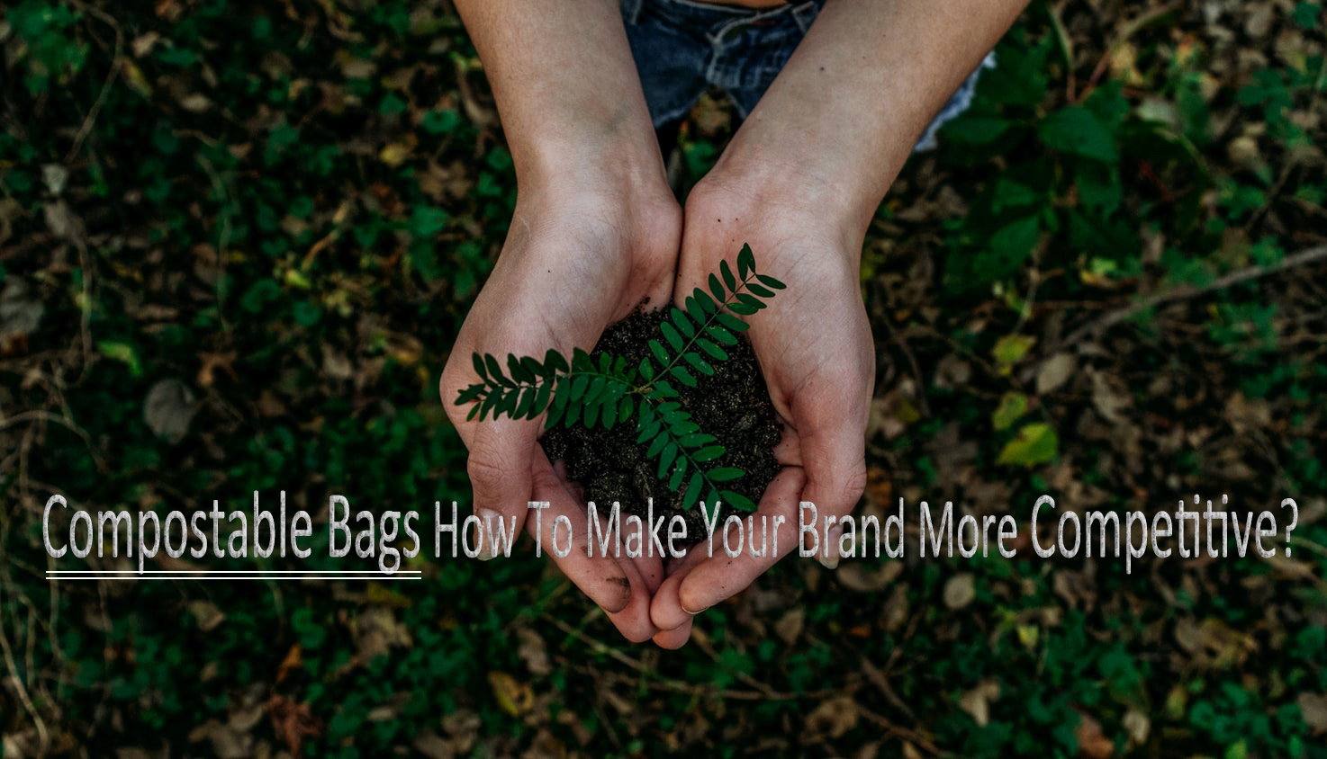 Compostable Bags How To Make Your Brand More Competitive?
