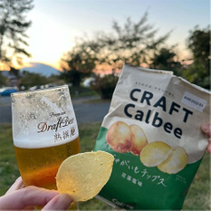Biodegradable Potato Chip Bags