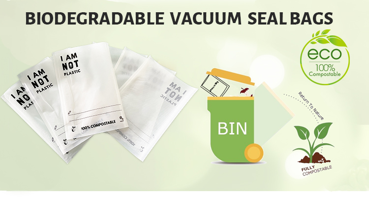 compostable vacuum bag (1)