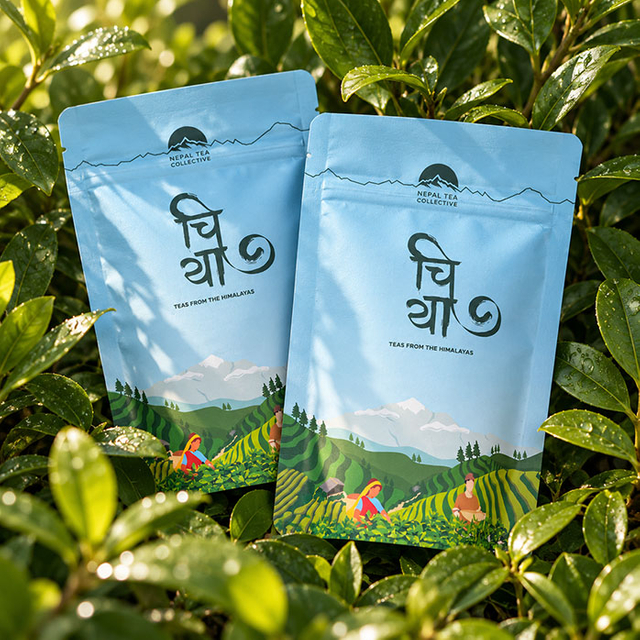 Custom Compostable Stand Up Tea Pouches 