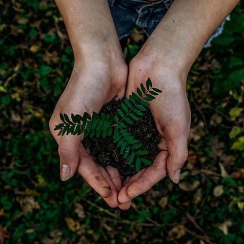 compostable-bags-make-your-brand-more-competitive.jpg